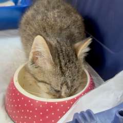 Видео отзыва 10958166