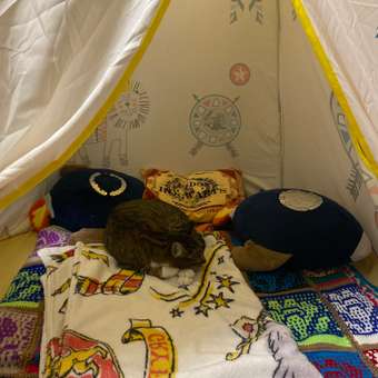 Палатка BabyGo Уютный шатёр: отзыв пользователя Детский Мир