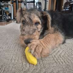 Фото отзыва 11132005