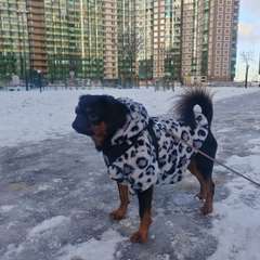 Фото отзыва 10755118