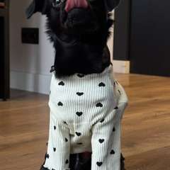 Фото отзыва 10948137