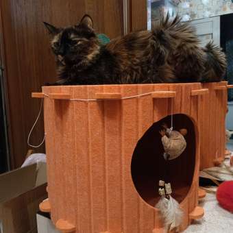 Домик Barbaks Морковка из фетра 37*37*29см: отзыв пользователя. Зоомагазин Зоозавр