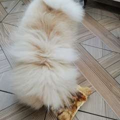 Фото отзыва 3741901