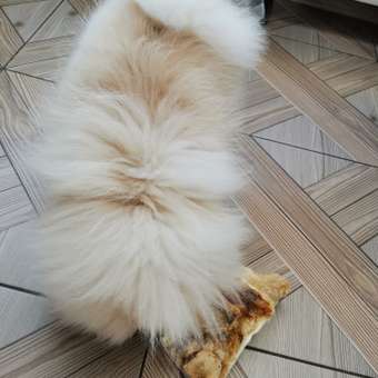 Лакомство для собак TITBIT Нога говяжья резаная 312 г: отзыв пользователя. Зоомагазин Зоозавр