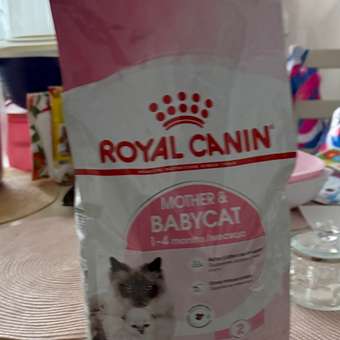 Корм сухой для котят ROYAL CANIN Mother and Babycat 2кг: отзыв пользователя. Зоомагазин Зоозавр