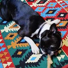 Видео отзыва 10615284