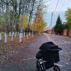 Фото отзыва 10530427