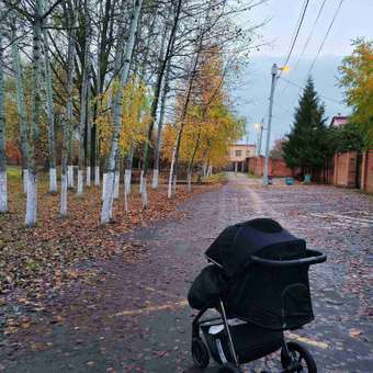 Коляска прогулочная Jetem Epica черный: отзыв пользователя Детский Мир