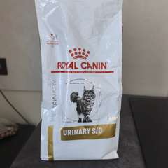 Фото отзыва 10970511