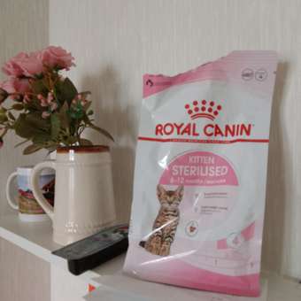 Корм сухой для котят ROYAL CANIN Sterilised 400г стерилизованных: отзыв пользователя. Зоомагазин Зоозавр