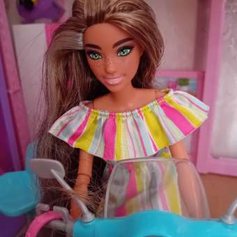 Кукла модельная Barbie Pet Birthday S3: отзыв пользователя Детский Мир