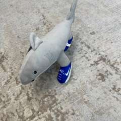 Фото отзыва 11023485