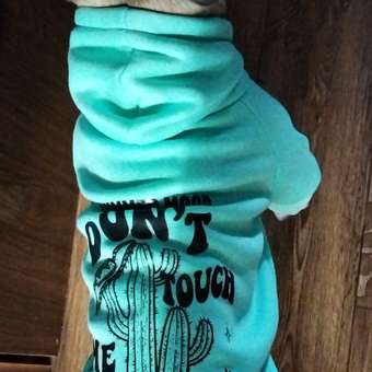 Толстовка для собак и кошек Зоозавр: отзыв пользователя. Зоомагазин Зоозавр