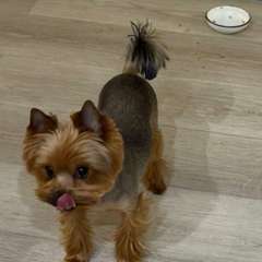 Фото отзыва 11120533