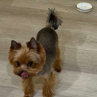 Корм для собак Зоогурман 300г телятина с индейкой д/с ламистер: отзыв пользователя. Зоомагазин Зоозавр