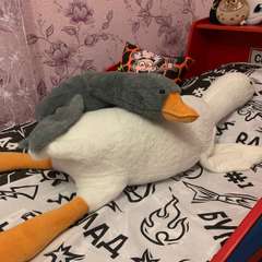 Фото отзыва 4909887