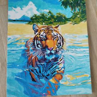 Картина по номерам LORI(колорит) на картоне 28.5*38см в ассортименте: отзыв пользователя магазина низких цен ЕЩЁ