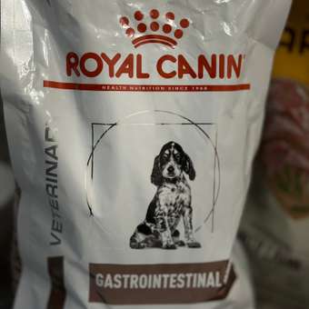 Корм для щенков ROYAL CANIN Gastro Intestinal Junior GIJ29 при нарушении пищеварения 2.5кг: отзыв пользователя. Зоомагазин Зоозавр