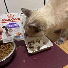 Фото отзыва 10533711