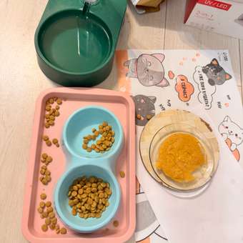 Корм сухой для кошек ROYAL CANIN Sterilised 3.5кг пожилых стерилизованных: отзыв пользователя. Зоомагазин Зоозавр