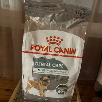 Корм для собак ROYAL CANIN Mini Dental мелких пород предрасположенных к образованию зубного камня 3кг: отзыв пользователя. Зоомагазин Зоозавр