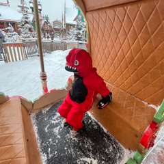 Фото отзыва 10933293