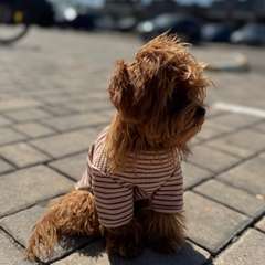 Фото отзыва 10130972