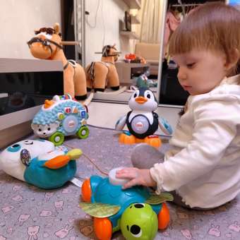 Игрушка Fisher Price: отзыв пользователя Детский Мир