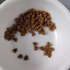 Фото отзыва 10923689