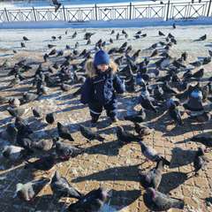 Фото отзыва 10999229