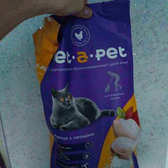 Корм для кошек Pet-a-Pet 2кг c цыпленком: отзыв пользователя. Зоомагазин Зоозавр