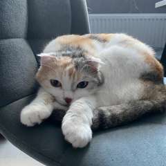 Фото отзыва 10674072