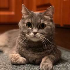 Фото отзыва 10876975