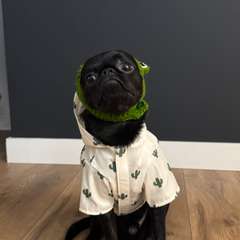 Фото отзыва 10948151