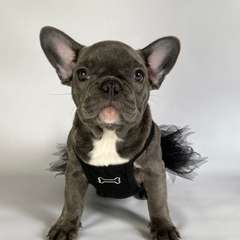 Фото отзыва 10334551