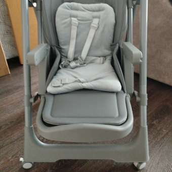 Стульчик для кормления Rant Basic Mango Pro серый: отзыв пользователя Детский Мир