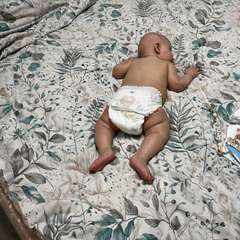 Фото отзыва 10638656