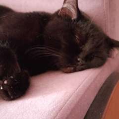 Фото отзыва 10727772