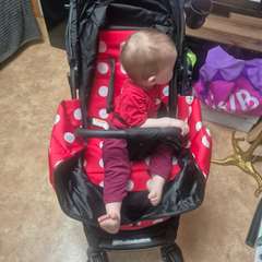 Фото отзыва 8796597