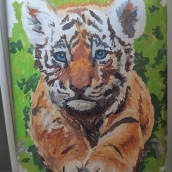 Картина по номерам Attivio Тигренок: отзыв пользователя Детский Мир
