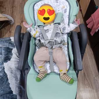 Стульчик для кормления BabyGo Sweet Meals Mint зеленый: отзыв пользователя Детский Мир