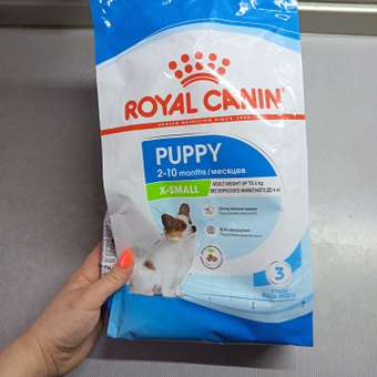 Корм для щенков ROYAL CANIN Junior миниатюрных пород 1.5кг: отзыв пользователя. Зоомагазин Зоозавр