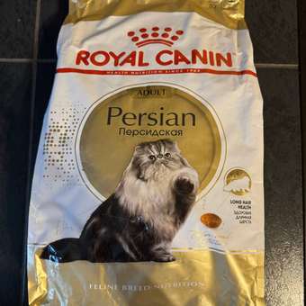 Корм сухой для кошек ROYAL CANIN Persian 4кг персидских: отзыв пользователя. Зоомагазин Зоозавр