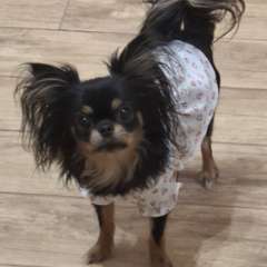 Фото отзыва 9132083