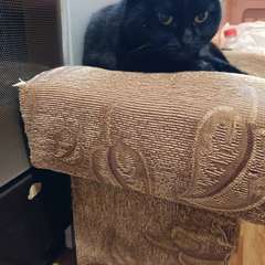 Фото отзыва 10961418