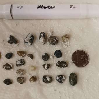 Набор для раскопок Бумбарам: отзыв пользователя Детский Мир