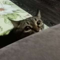 Фото отзыва 11089649