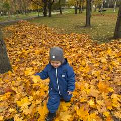 Фото отзыва 10538501