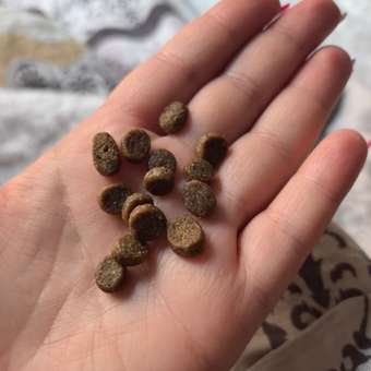 Корм для кошек Pet-a-Pet 2кг с чувствительным пищеварением c белой рыбой: отзыв пользователя. Зоомагазин Зоозавр