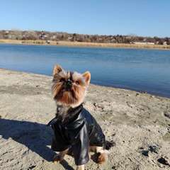 Фото отзыва 8735088